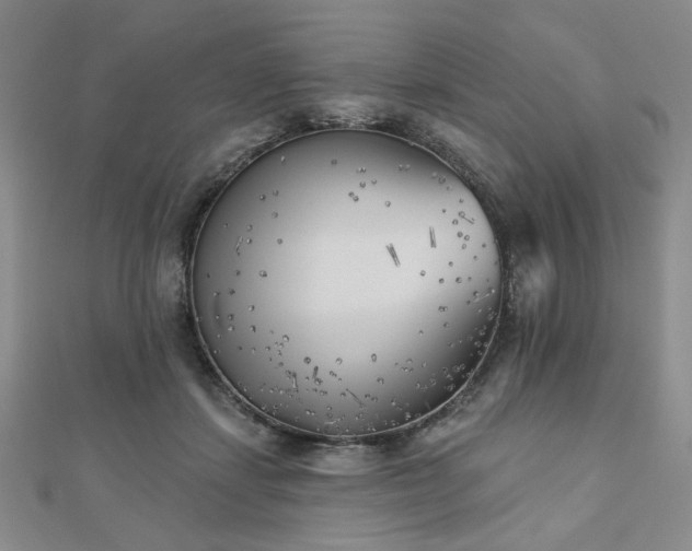 X0000111000459200906191554