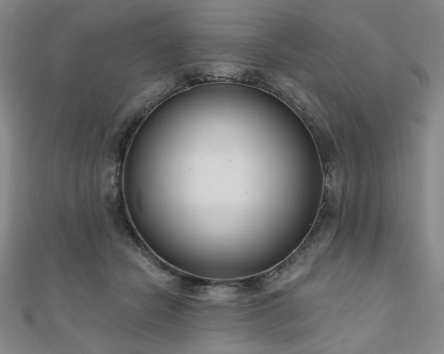 X0000111000462200906191554