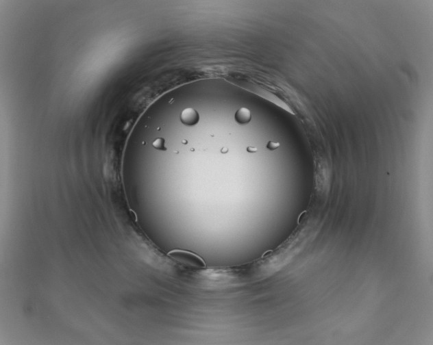 X0000111000477200906191554