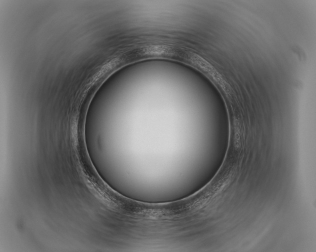 X0000111000482200906191554