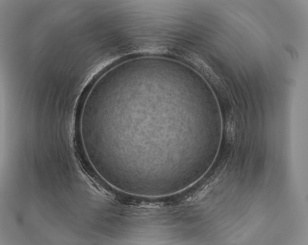 X0000111000484200906191554