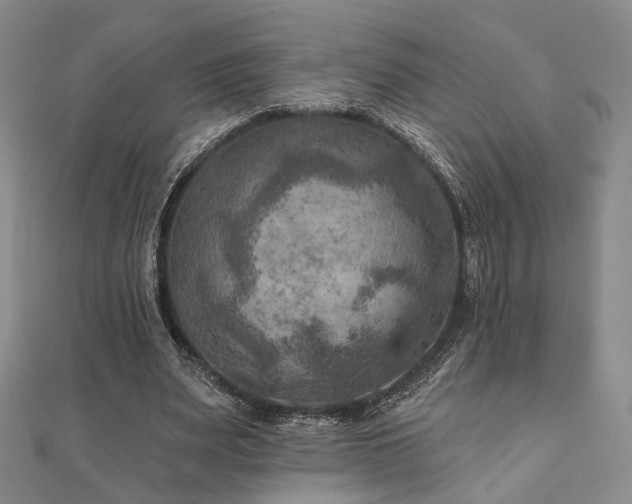 X0000111000487200906191554