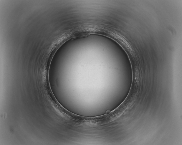 X0000111000489200906191554