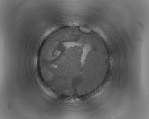 X0000111000491200906191554