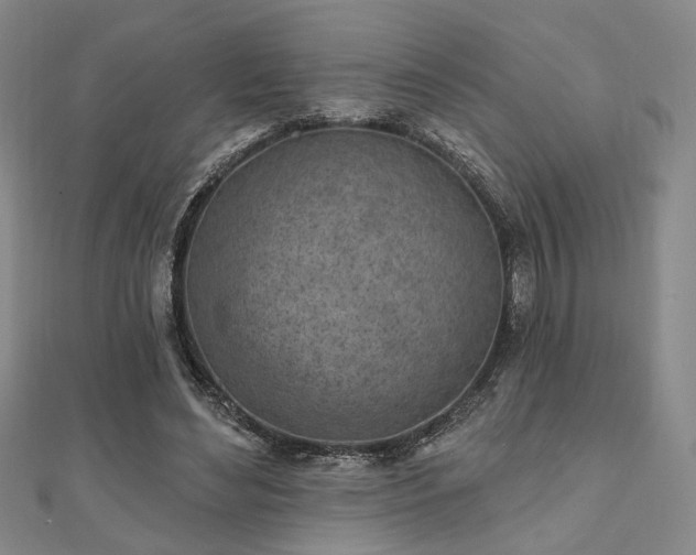 X0000111000492200906191554