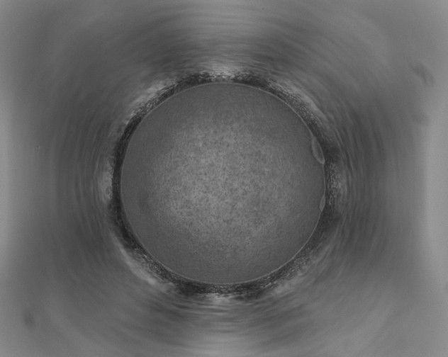 X0000111000496200906191554