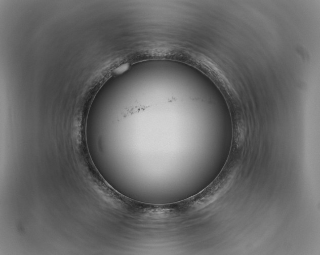 X0000111000497200906191554