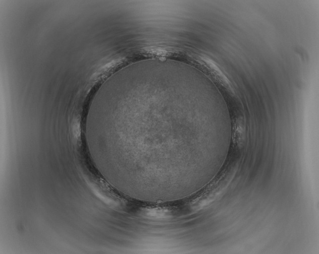 X0000111000500200906191554