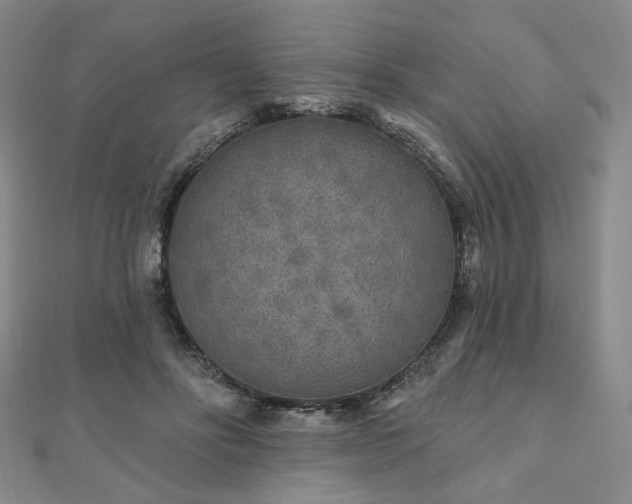 X0000111000502200906191553