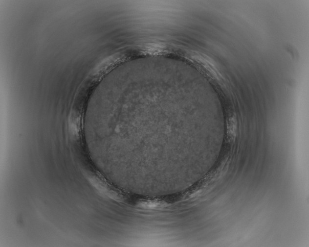 X0000111000503200906191553