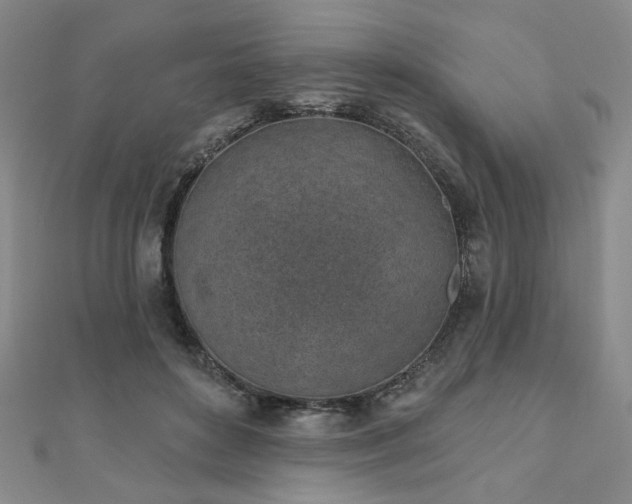 X0000111000504200906191553