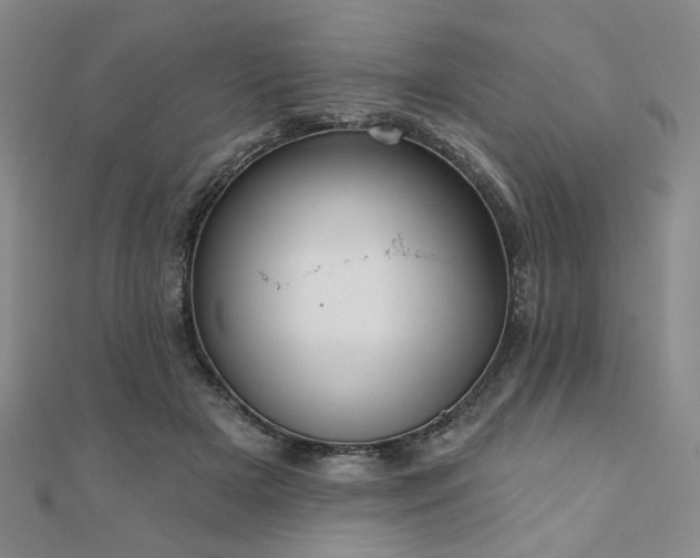 X0000111000505200906191553