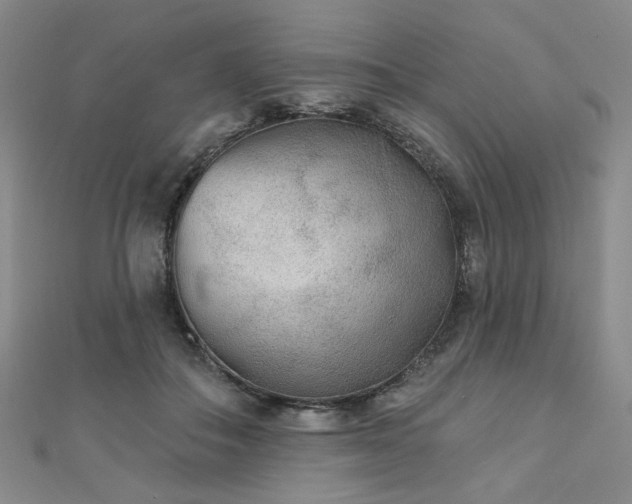 X0000111000506200906191553