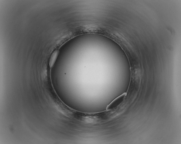 X0000111000508200906191553