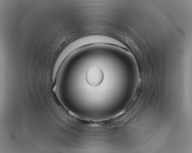 X0000111000509200906191553