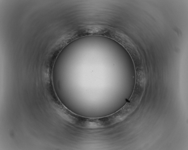 X0000111000510200906191553