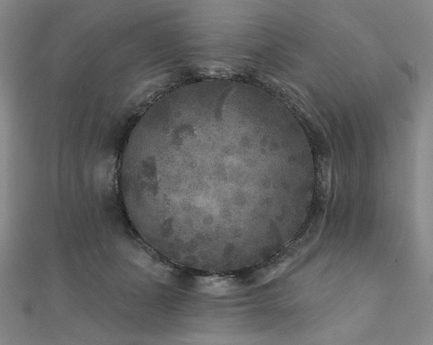 X0000111000511200906191553