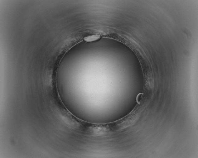 X0000111000512200906191553