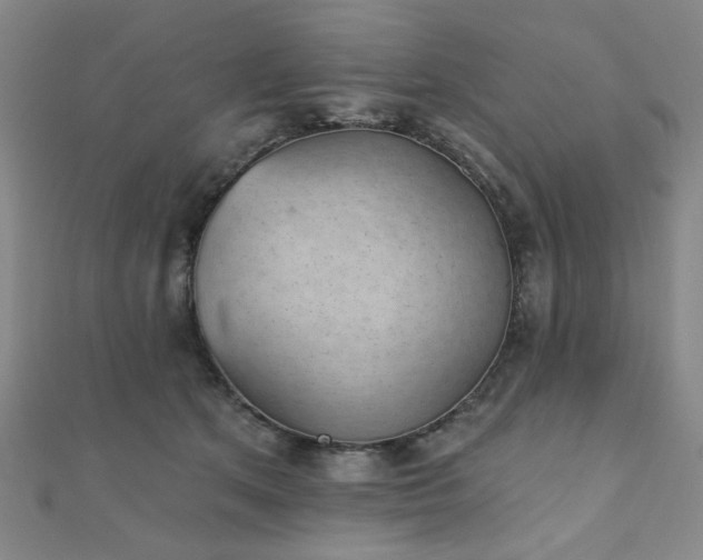 X0000111000513200906191553