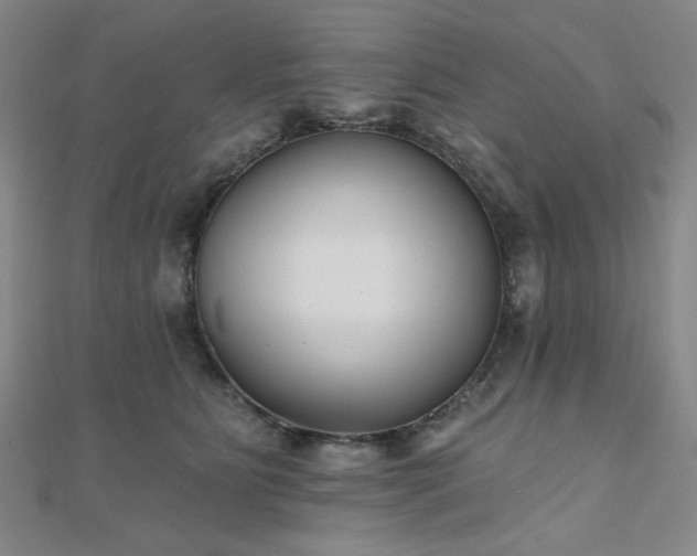 X0000111000515200906191553