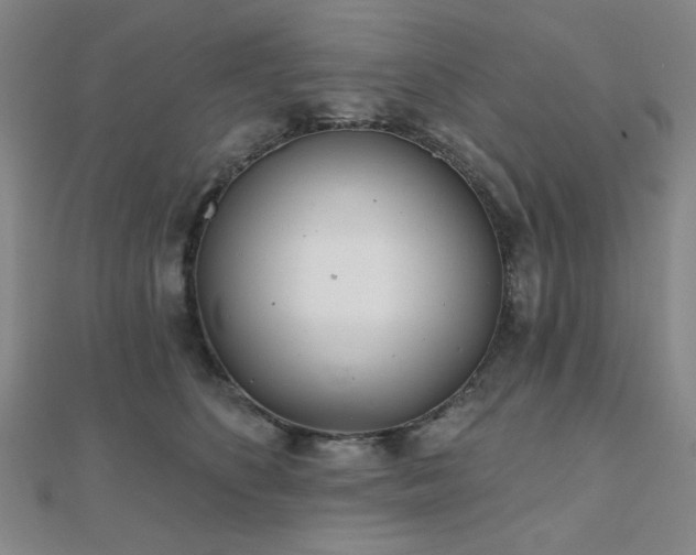 X0000111000516200906191553