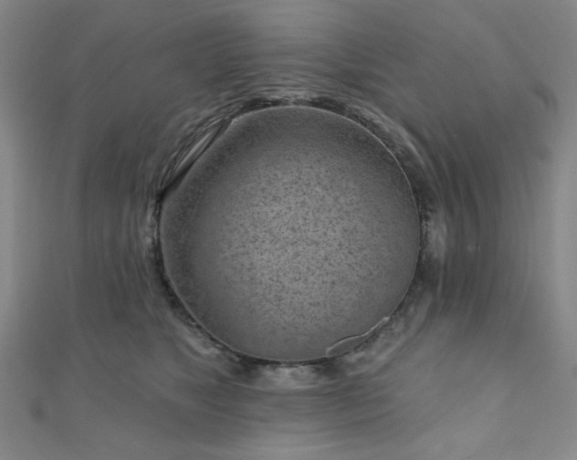 X0000111000517200906191553