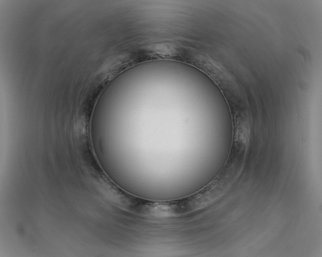 X0000111000518200906191553