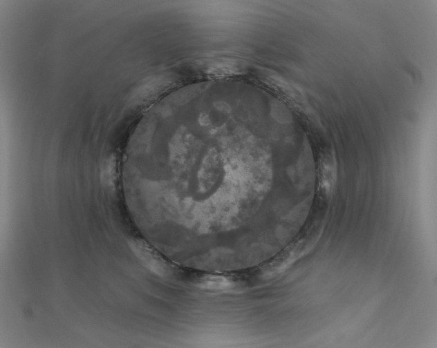 X0000111000519200906191553