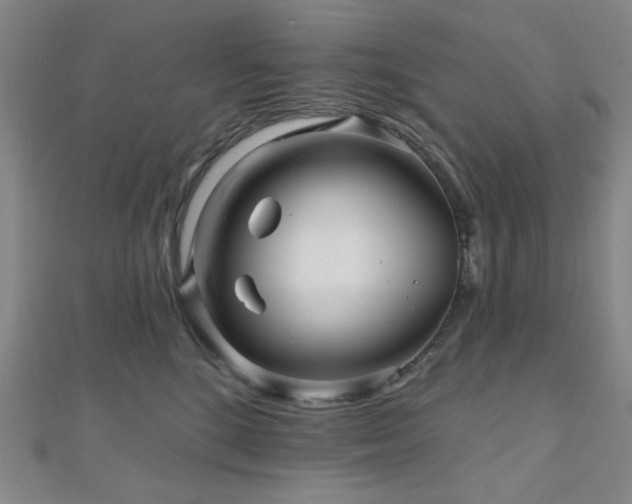 X0000111000520200906191553