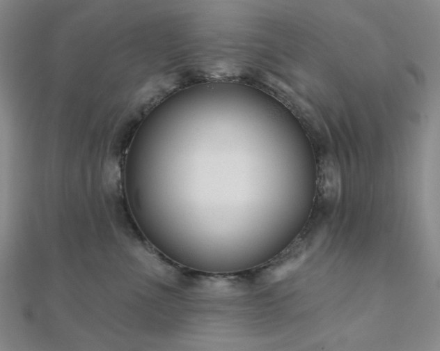 X0000111000523200906191553