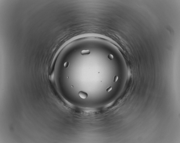 X0000111000524200906191553