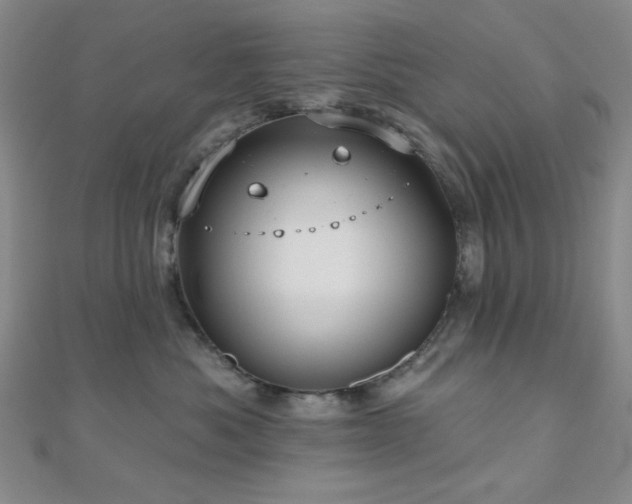 X0000111000525200906191553