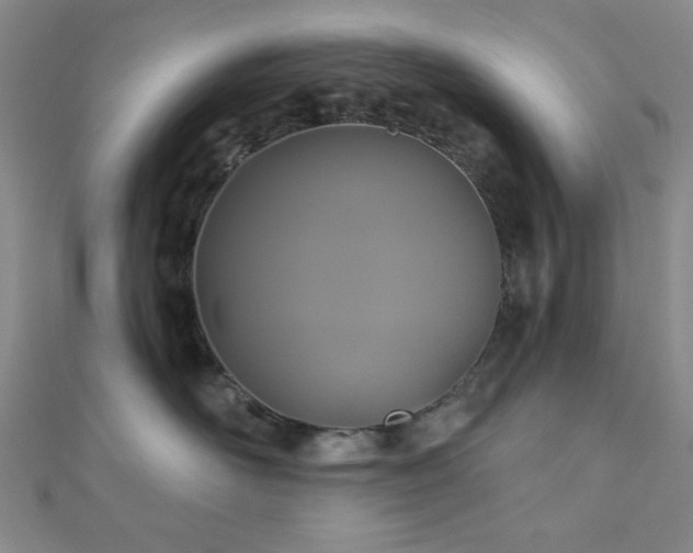 X0000111000526200906191553