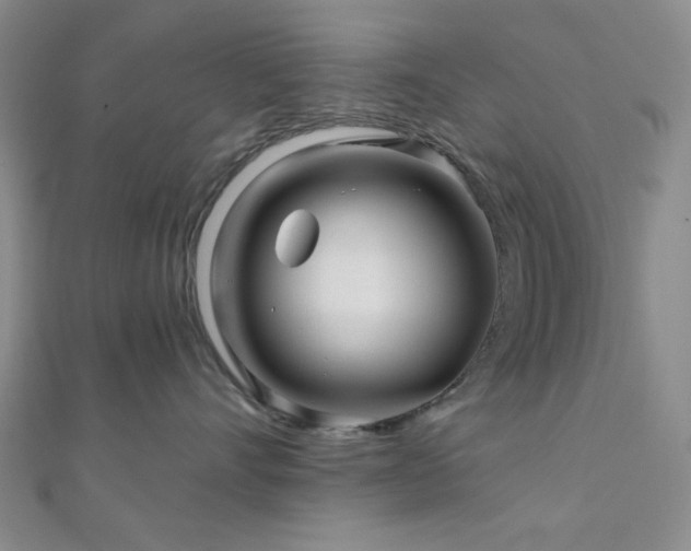 X0000111000528200906191553