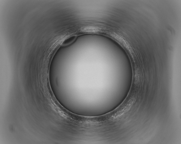 X0000111000529200906191553