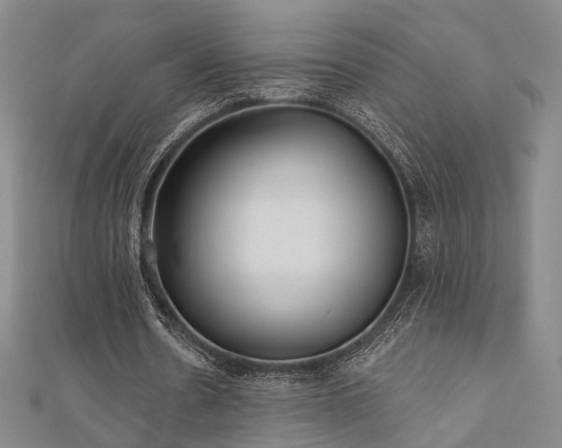 X0000111000530200906191553