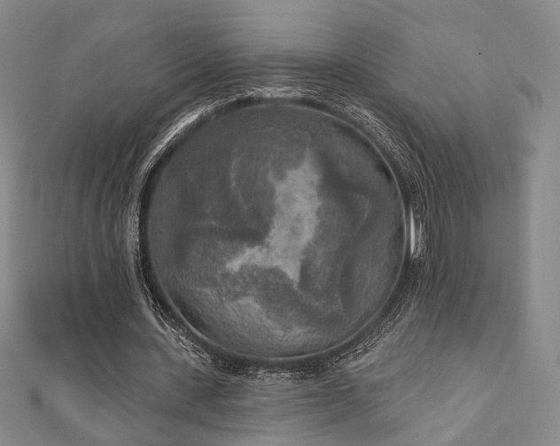 X0000111000531200906191553