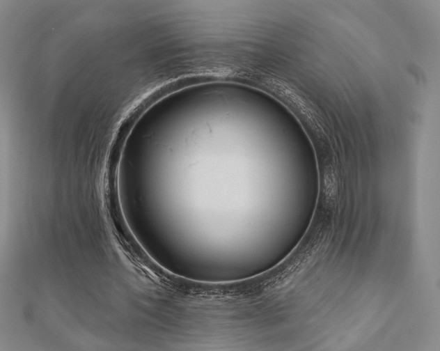X0000111000532200906191553