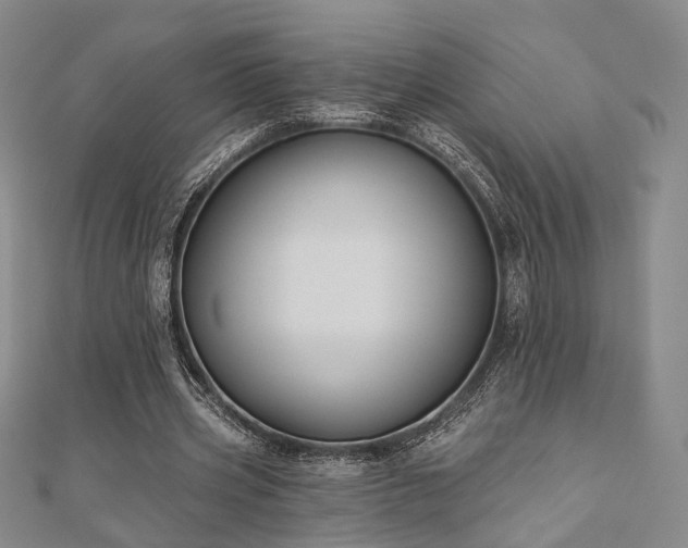 X0000111000533200906191553