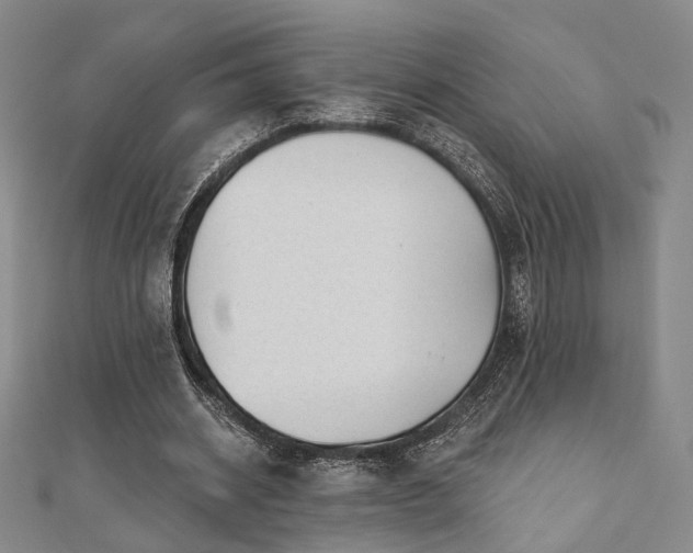 X0000111000534200906191553