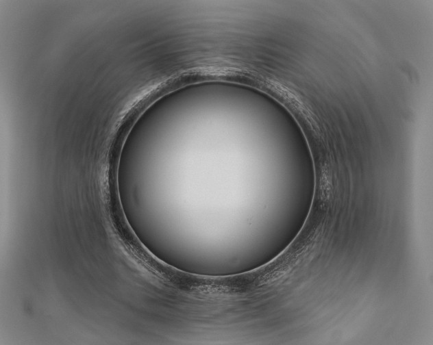 X0000111000535200906191553