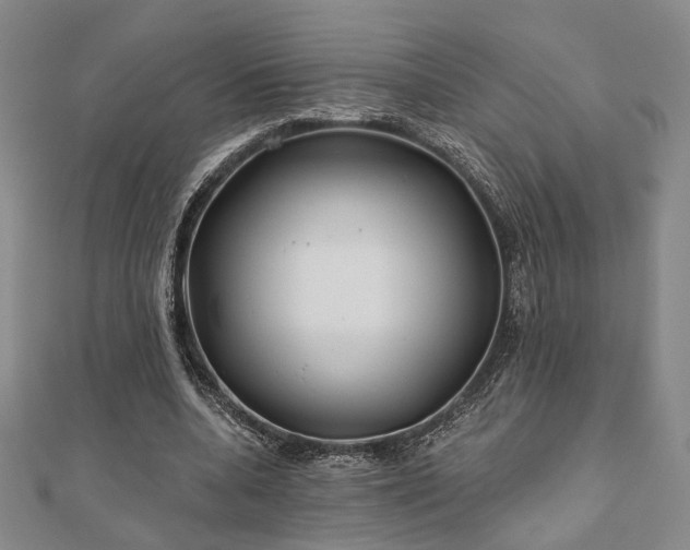 X0000111000536200906191553