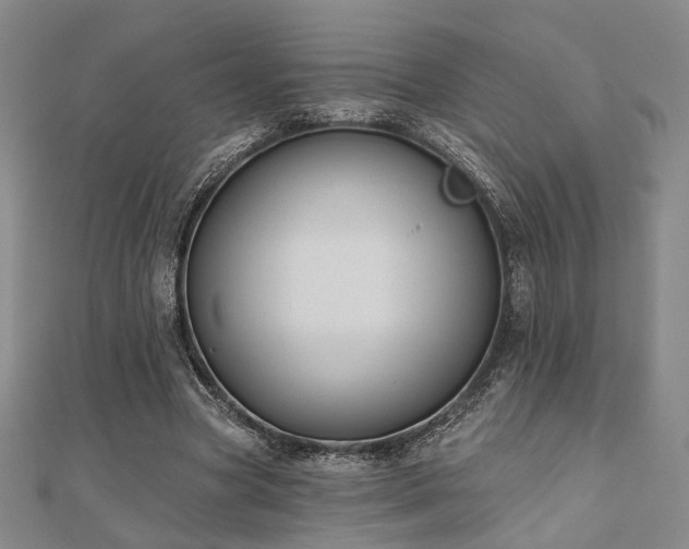 X0000111000537200906191553