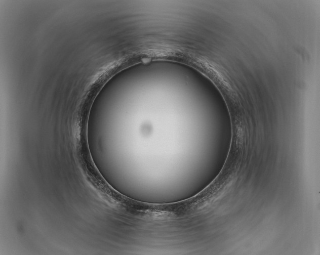 X0000111000539200906191553