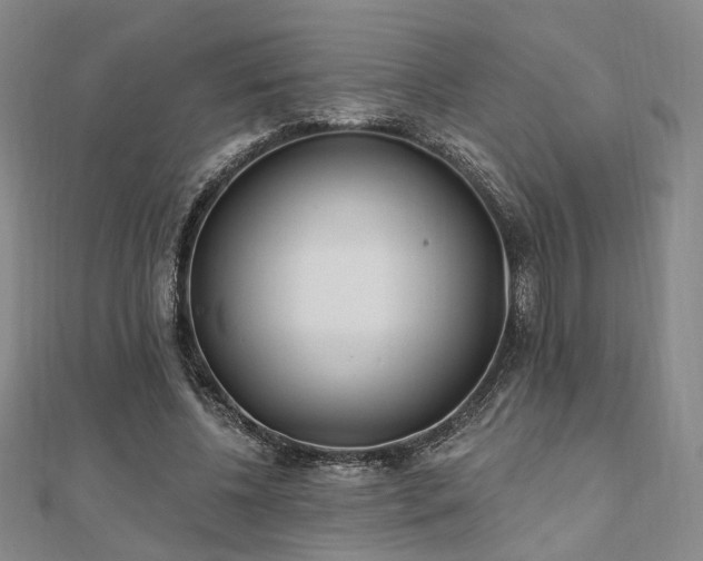 X0000111000540200906191553