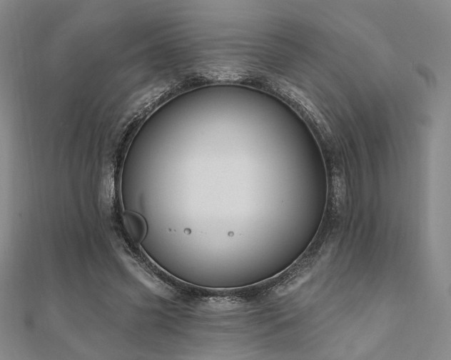 X0000111000541200906191553