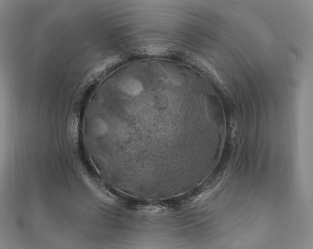 X0000111000542200906191553