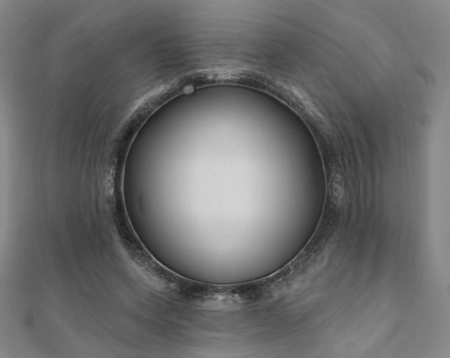 X0000111000543200906191553