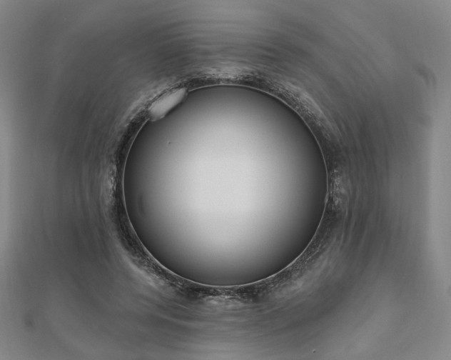 X0000111000544200906191553