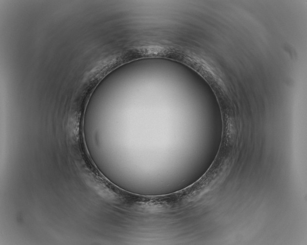 X0000111000545200906191553